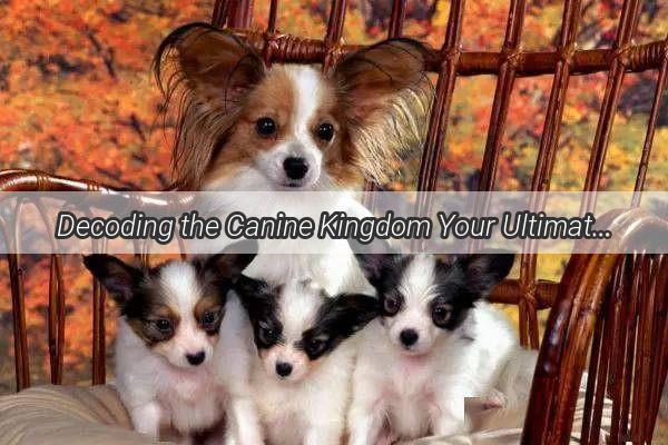 Decoding the Canine Kingdom Your Ultimate Guide to the Worlds Most Adorable Dog Breeds